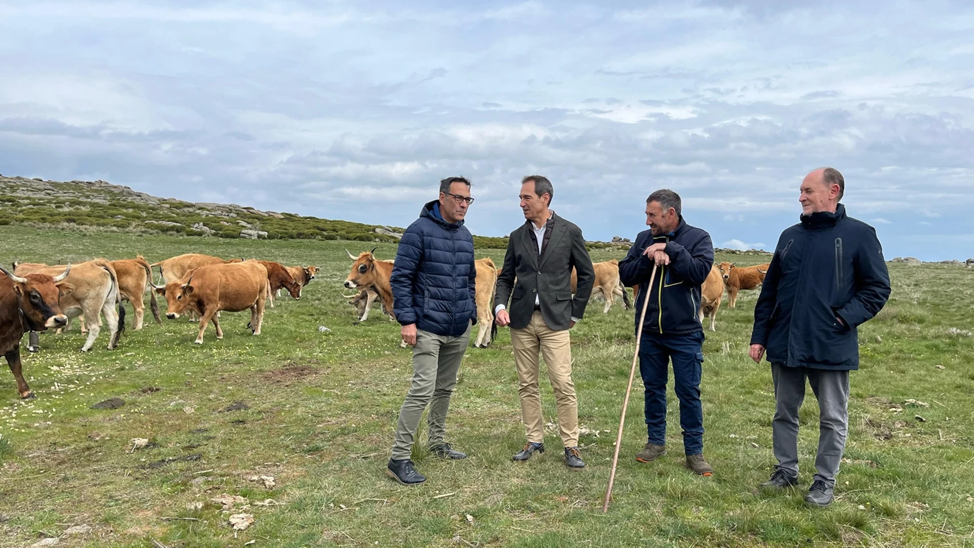 El director general de Política Agraria Comunitaria, Ángel Gómez, visita la explotación ganadera de vacuno ecológico de Mariano Calle Martín, en el Puerto del Tremedal