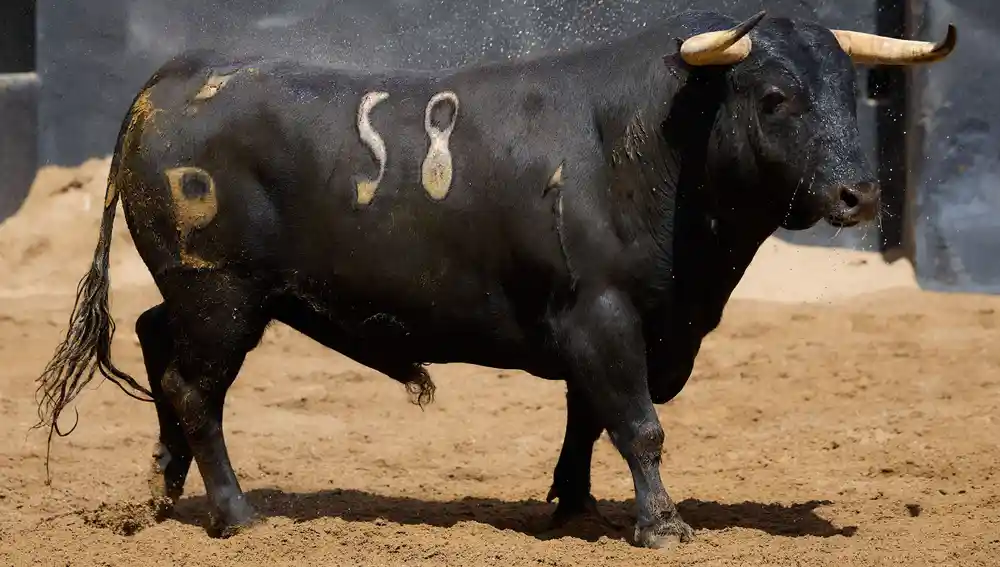 "Pelucón"; nº 58