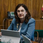 Aagesen se reúne con Cani Fernández, presidenta de la CNMC