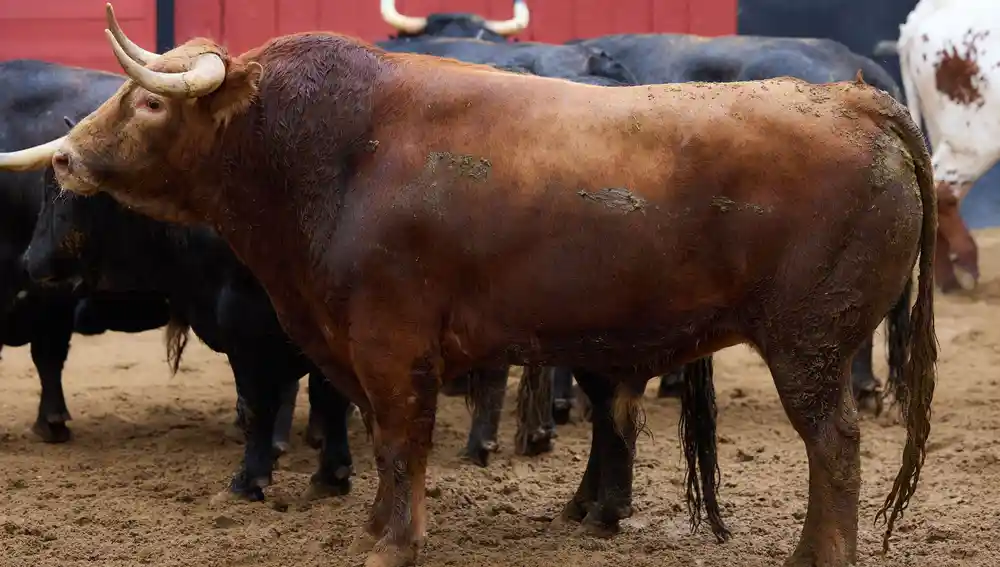 "Treinta y dos", nº 128