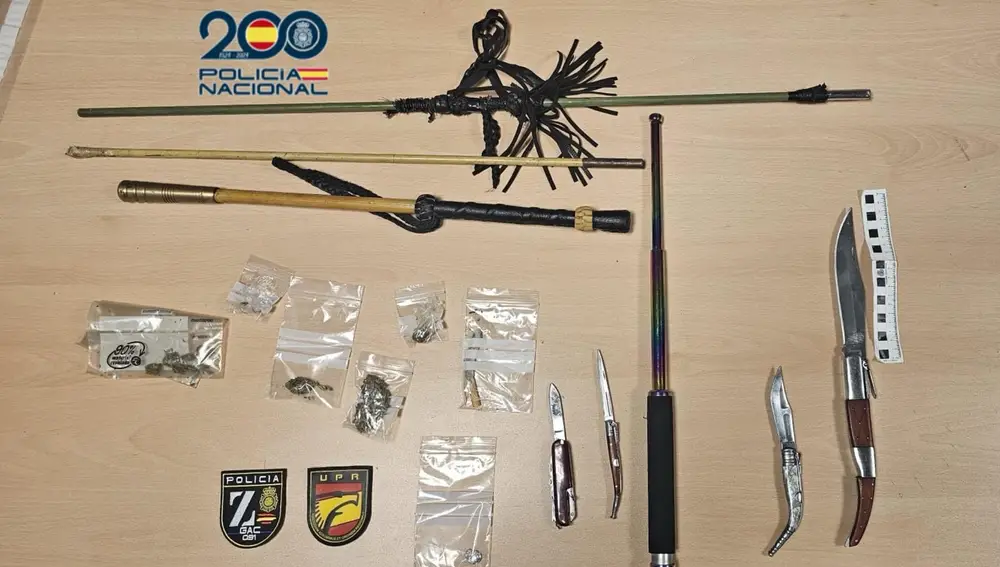 Armas incautadas en la fiesta ilegal