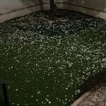 La lluvia deja 20 litros por metro cuadrado en Daimiel en apenas seis horas y una "descarga de granizo"