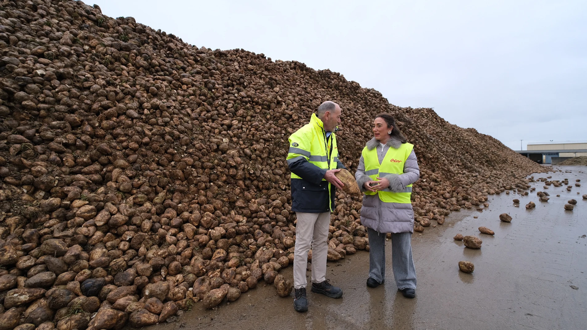 La consejera González Corral conversa con Jesús Posadas durante una visita a la fábrica de Acor en Olmedo (Valladolid)