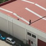 Desmantelamiento de cultivo de marihuana en Cadrete, Zaragoza