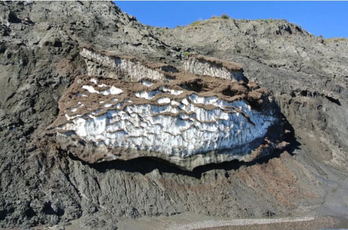El permafrost siberiano escondía un gusano que puede tener la clave de los misterios de la genética