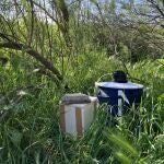 Imagen de una trampa instalada contra el mosquito del Virus del Nilo occidental