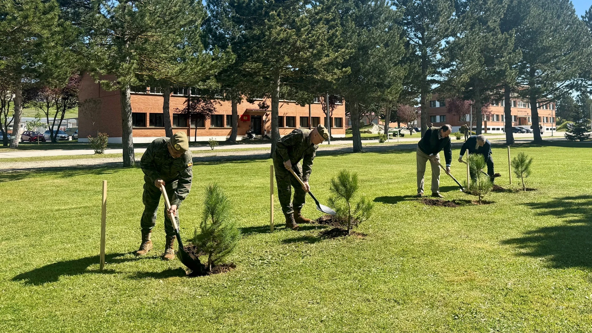 Plantación de árboles en la Base burgalesa Cid Campeador