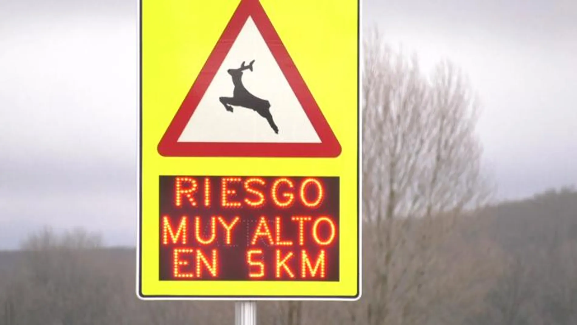 Una señal de riesgo de animales en las carreteras de Castilla y León