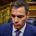 El presidente del Gobierno, Pedro Sánchez, en el Congreso de los Diputados