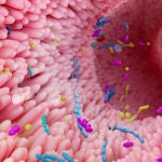 Microbiota