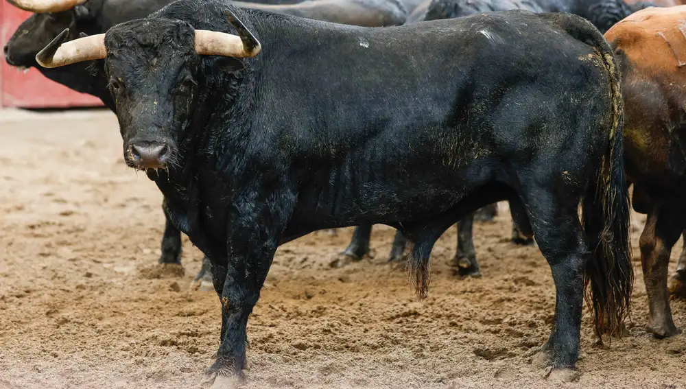 "Predicador". nº 170