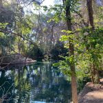 Este lugar fue elegido para levantar en época romana un templo de las ninfas