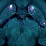 Estas son las dos zonas implicadas en el aprendizaje en nuestro cerebro