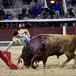 La verdad de Fonseca y 667 kilos de milagro de Pedraza de Yeltes 