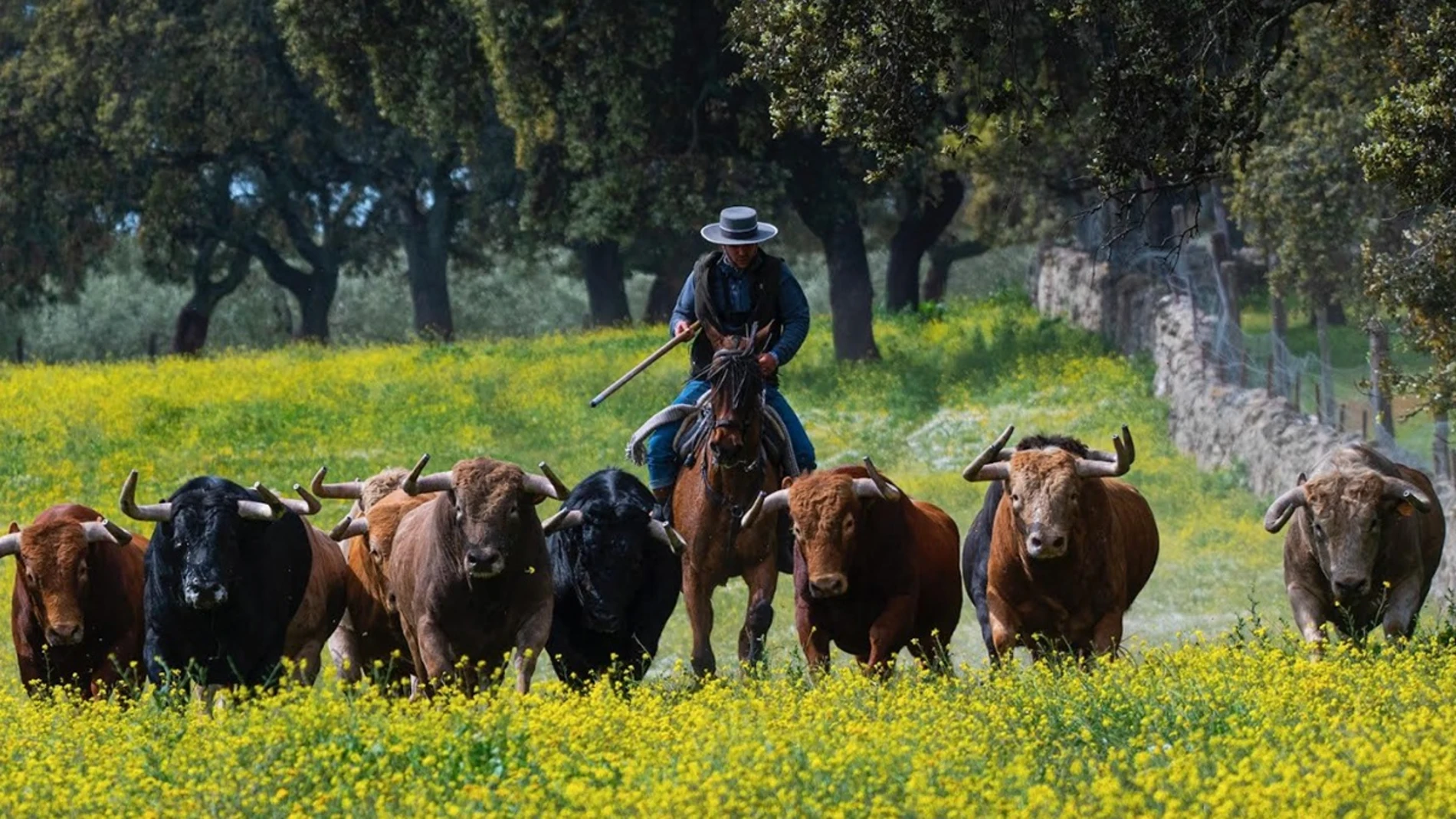 120 años de historia con acento bravo