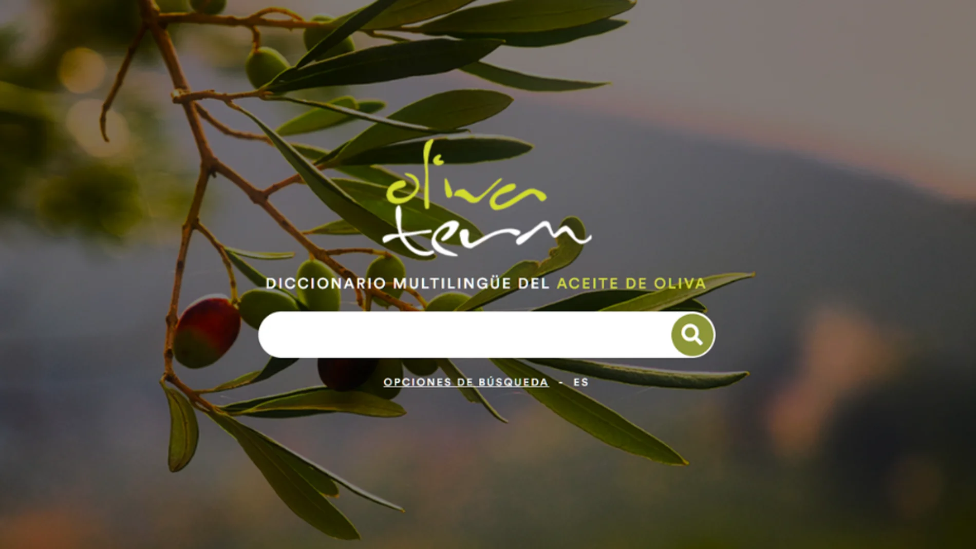 Diccionario del aceite de oliva