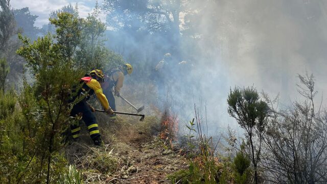 El incendio de Gran Canaria está extinguido