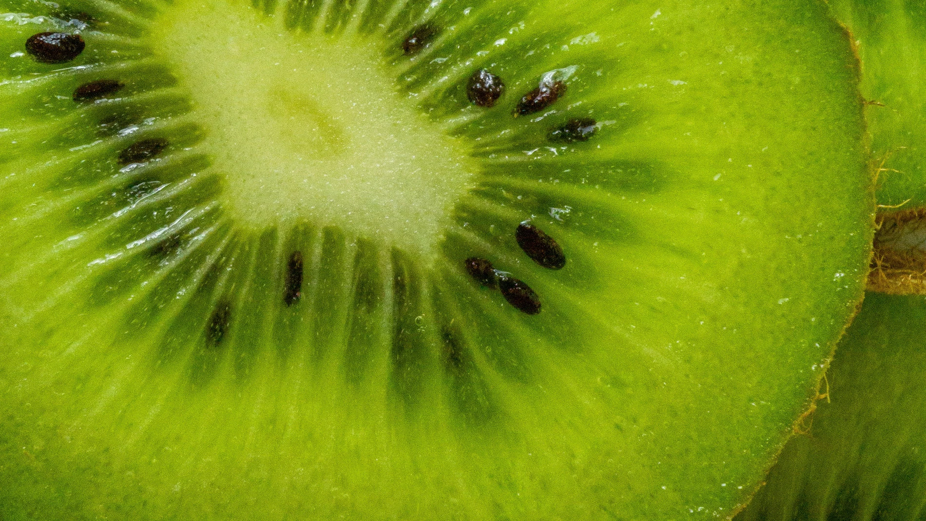 Kiwi: una bomba de vitamina C y antioxidantes