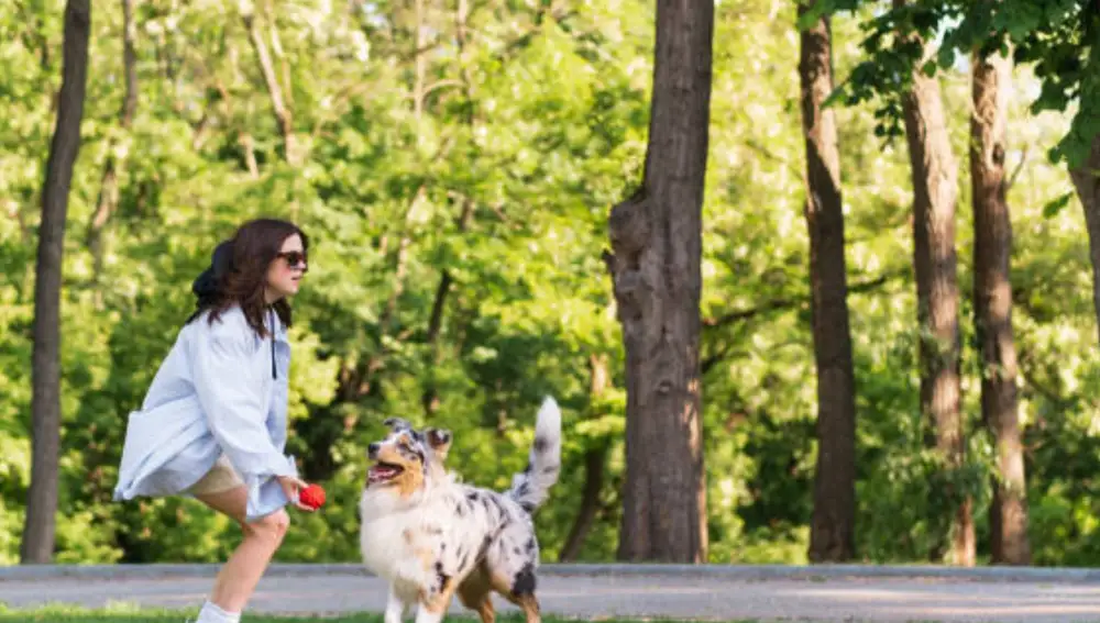 Una joven juega con su perro en el parque