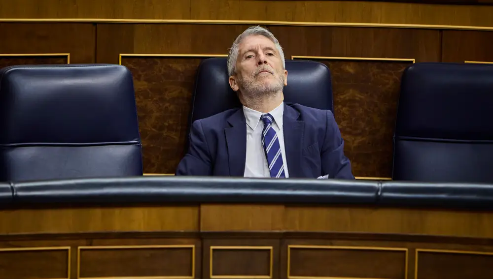 Fernando Grande-Marlaska durante una sesión de control parlamentario al Gobierno, en el Congreso de los Diputados