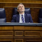 Fernando Grande-Marlaska durante una sesión de control parlamentario al Gobierno, en el Congreso de los Diputados