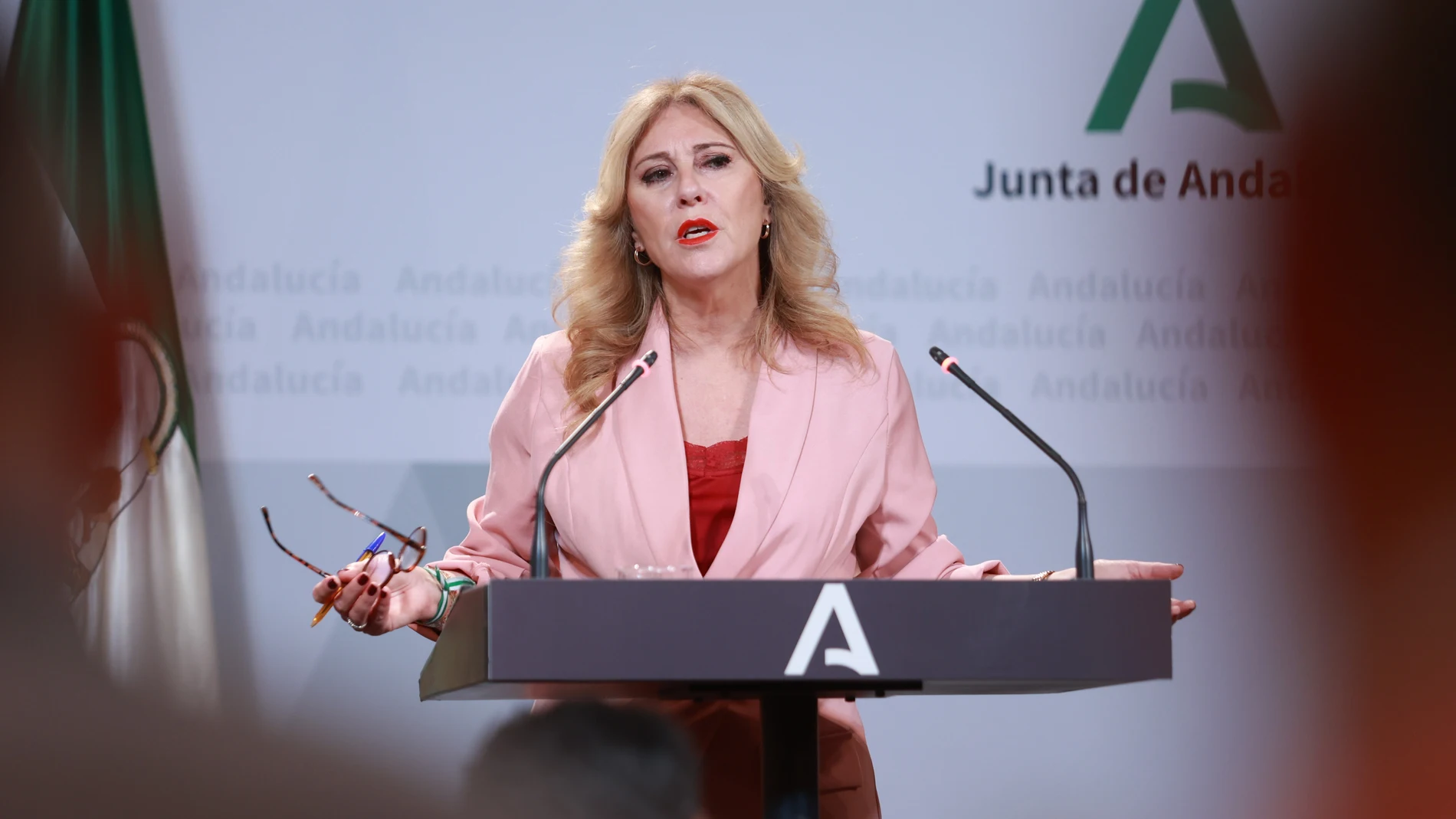 La consejera de Economía, Carolina España