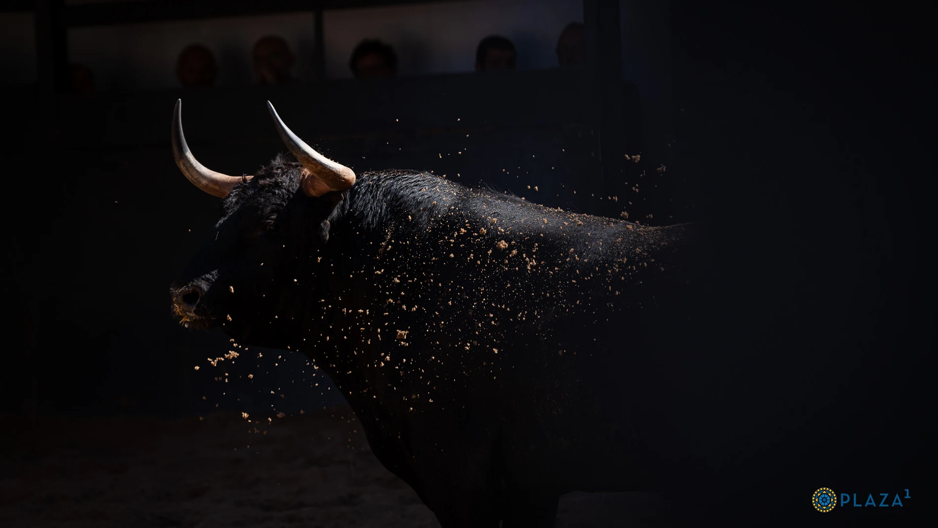 Estos son los pavorosos toros que marcan el regreso de Araúz de Robles a Las Ventas