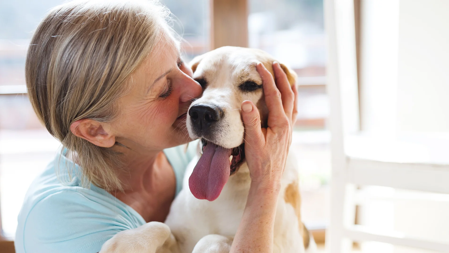 La ciencia trabaja en alargar la vida de los perros con una innovadora pastilla