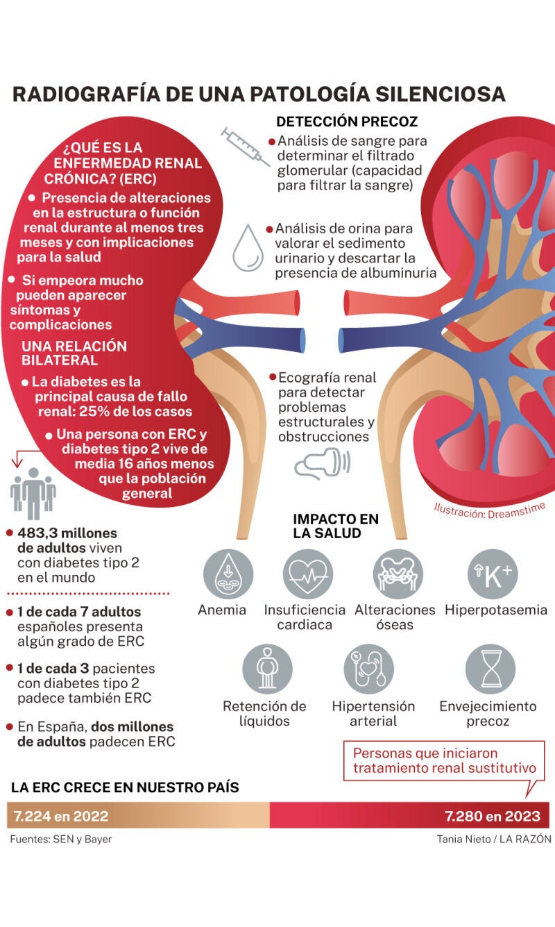 Enfermedad renal crónica