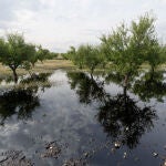 Vertido de petróleo en Calasparra (Murcia) por rotura en una tubería de la empresa Repsol