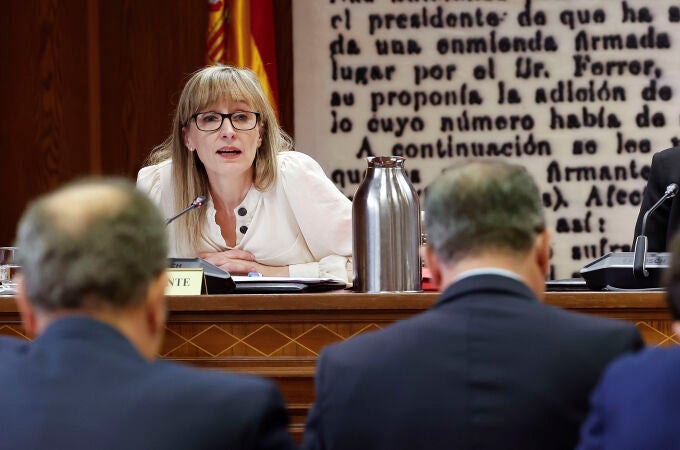 72 horas y tres testimonios: el Senado cerca el enchufe de Jesica