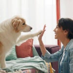Las cinco razas de perro con más memoria y agilidad para aprender