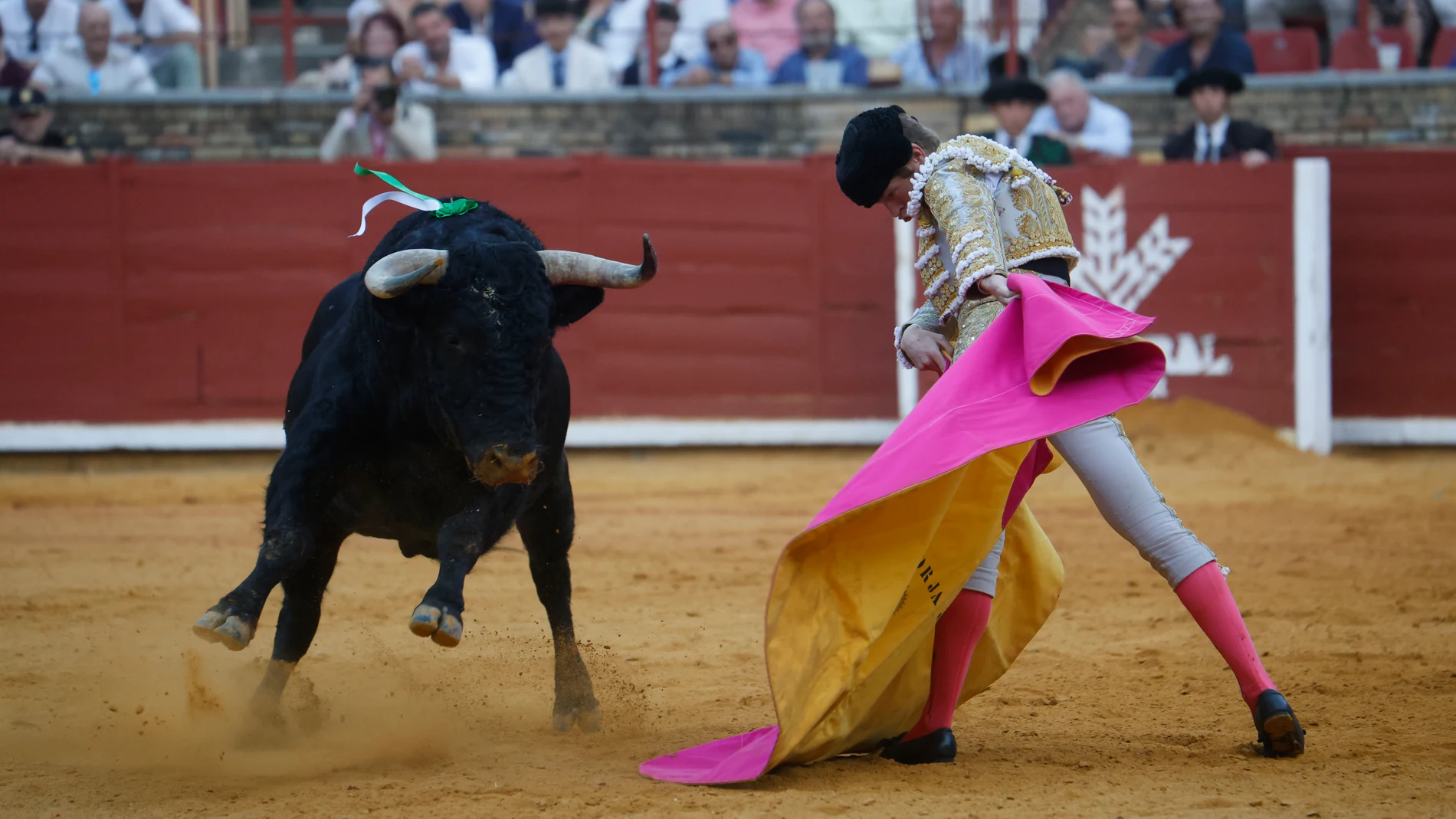 CÓRDOBA, 24/05/2025.- El diestro Borja Jiménez, este sábado, en el segundo festejo del abono de la Feria de Nuestra Señora de la Salud de Córdoba en una tarde condicionada por el juego de las reses de El Pilar. EFE/ Salas