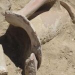 Detalle del cartel de la exposición «Caraca, la ciudad perdida»