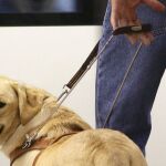 Las personas con perros de asistencia podrán acceder con ellos a espacios de uso público