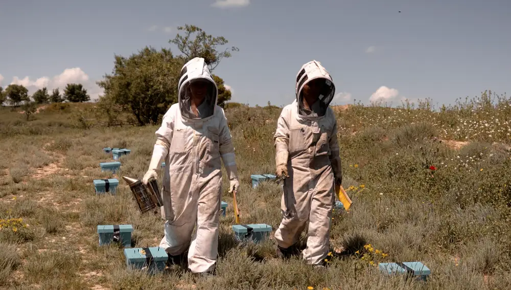 Abejas del Moncayo
