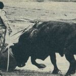 Cuando Curro mató murteiras