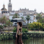 oven se protege del sol con un paraguas, este domingo en Sevilla
