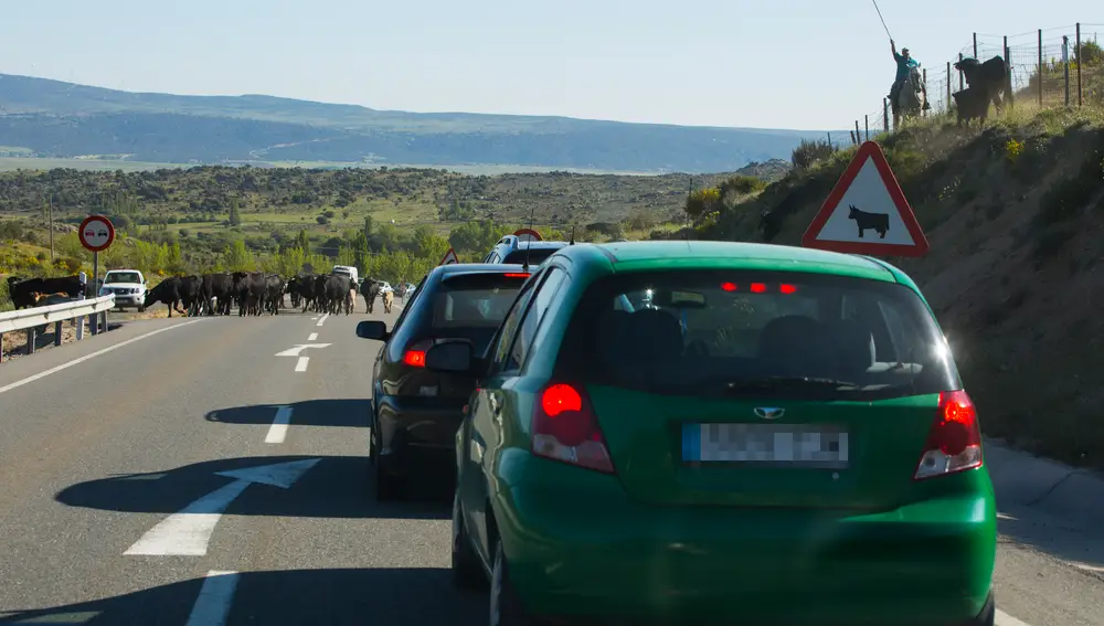 Vehículos circulando por una carretera abulense