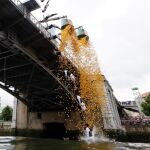 Estropatada en Zaragoza