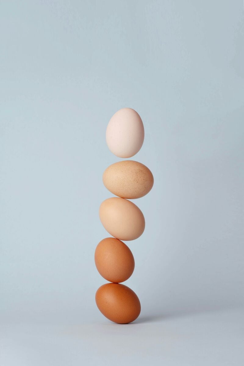 Por qué la proteína es esencial para tus músculos