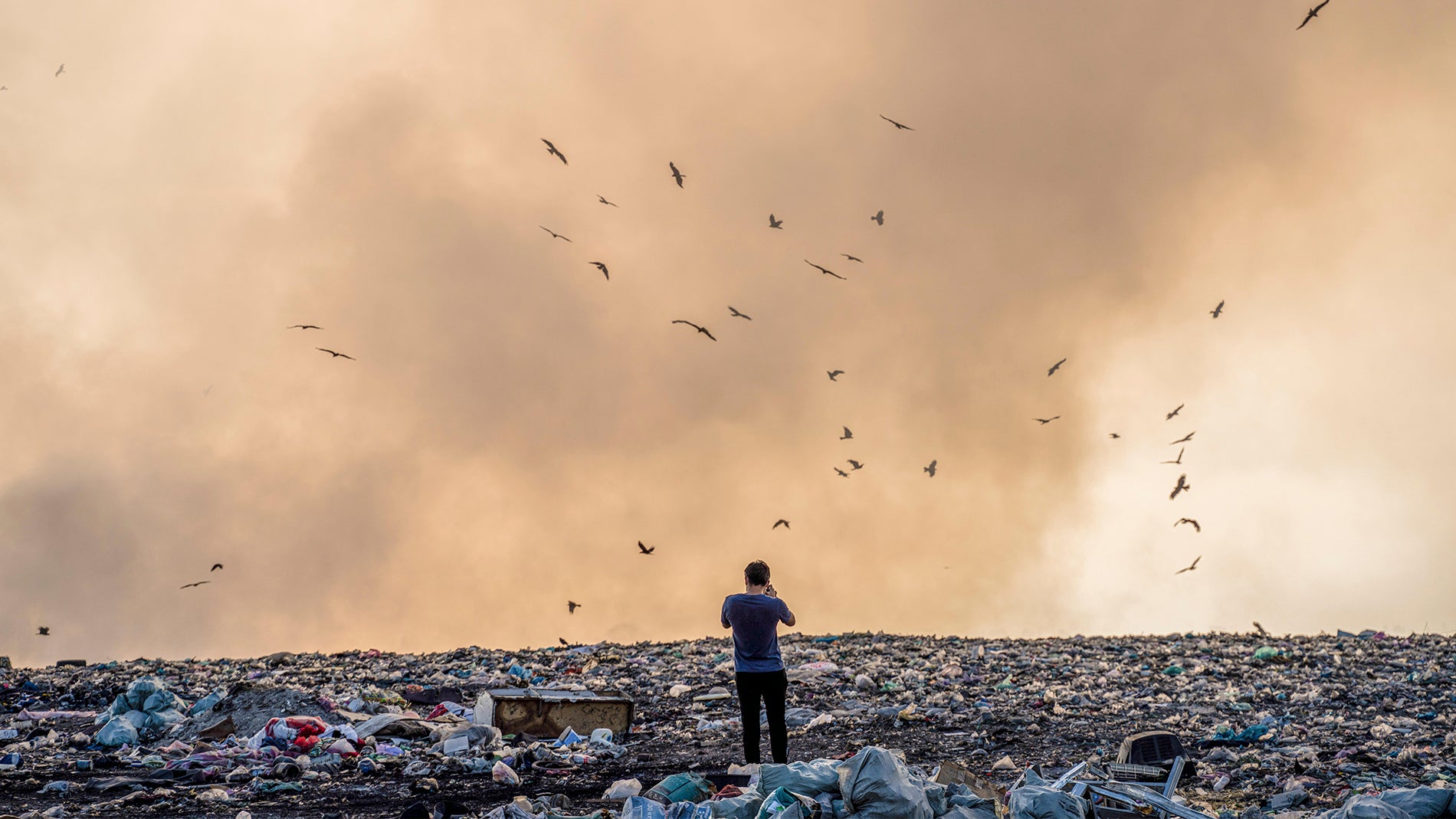 Nadó en la basura durante 12 años para encontrar 742 millones de euros en  Bitcoin, no tuvo éxito pero su historia será televisada