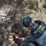 Valencia.- Sucesos.- Investigado un hombre por colocar lazos trampa en Requena con animales muertos como cebo