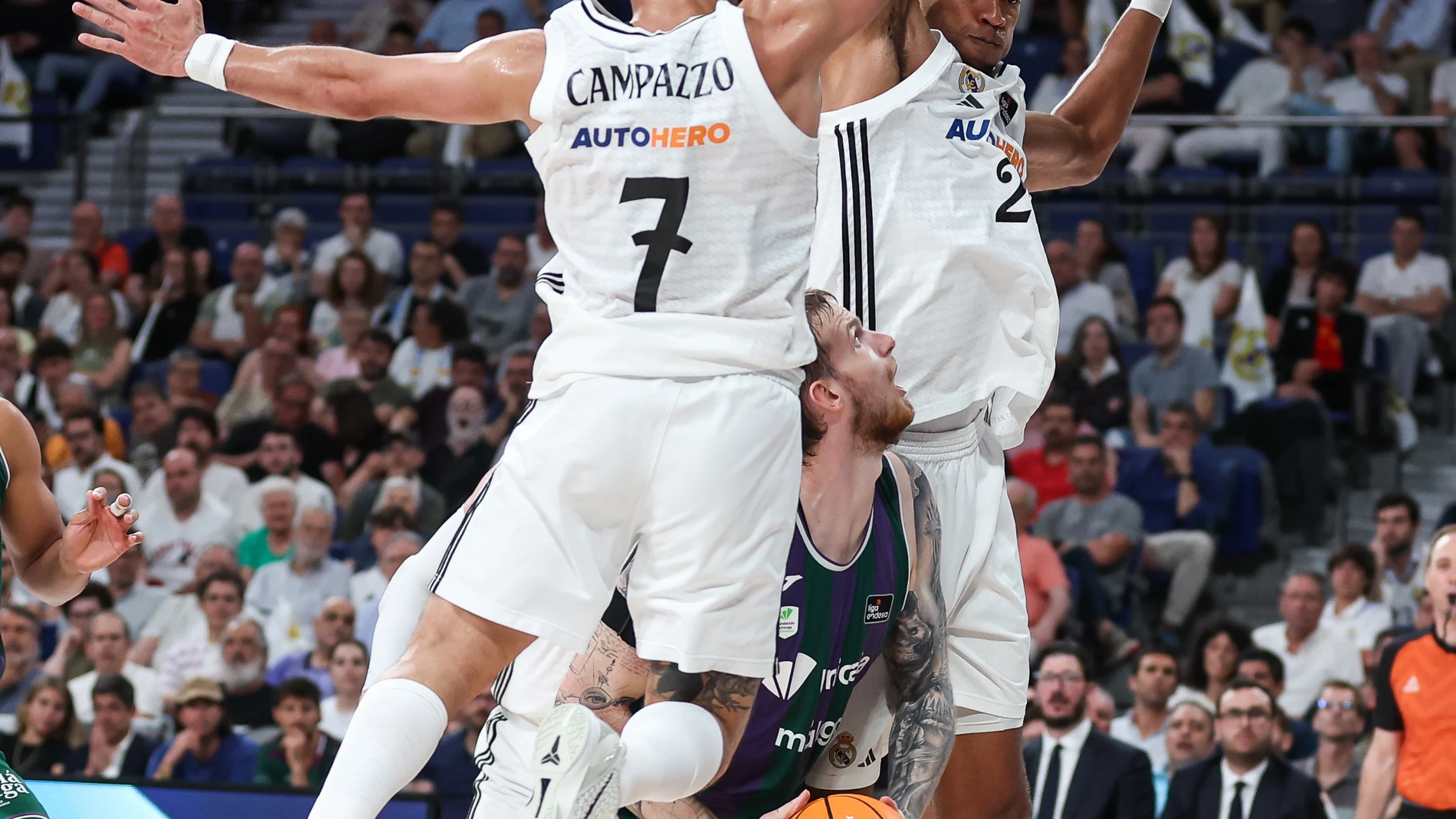 Campazzo y Tavares intimidan a Balcerowski