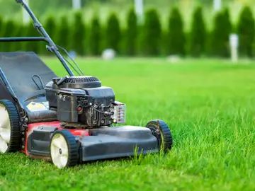 El mejor momento para empezar a cortar el césped esta primavera El mejor momento para empezar a cortar el césped esta primavera
