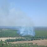 Declarado un incendio en el paraje Camino del Cabezo Gordo de Almonte