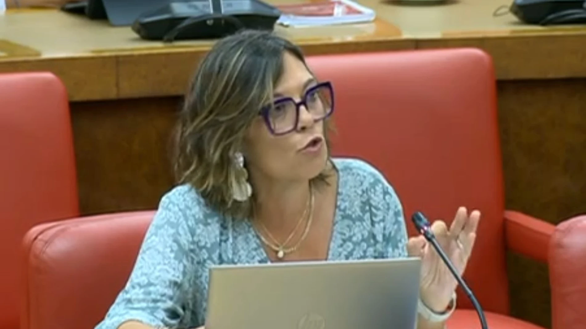 La diputada Milagros Marcos durante una de sus intervenciones