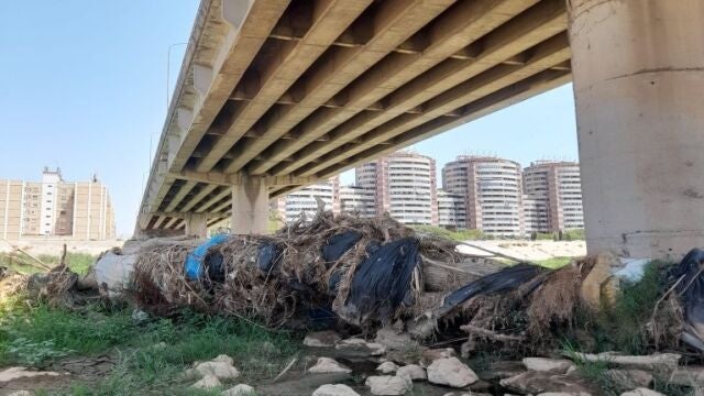 Valencia.- El pleno del Ayuntamiento ratifica exigir a la CHJ la limpieza urgente del nuevo cauce del Turia tras la dana