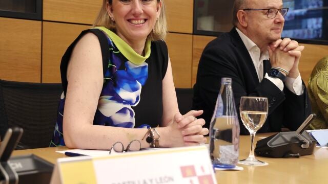 Isabel Blanco en la última Conferencia Sectorial donde se trató este tema