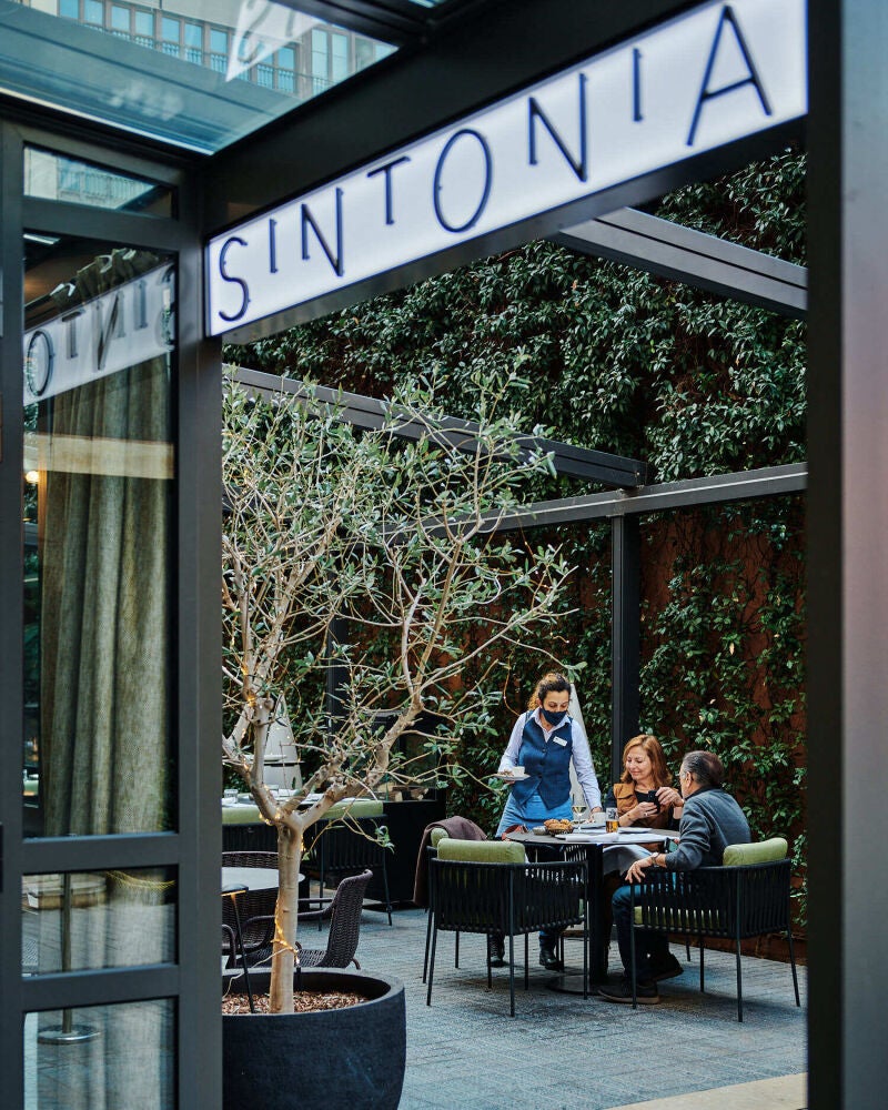 Terraza de Sintonía